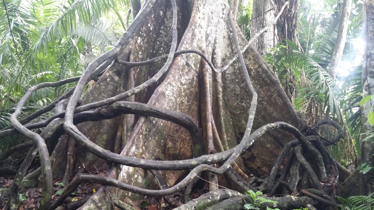 Casa Sandoval Villa Puerto Maldonado Kültér fotó